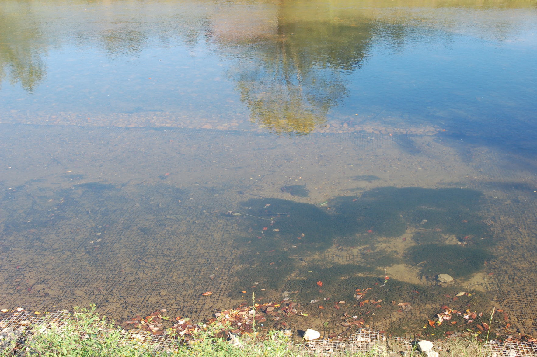 DSC_3093.JPG